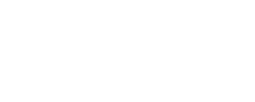 Eveve Srl